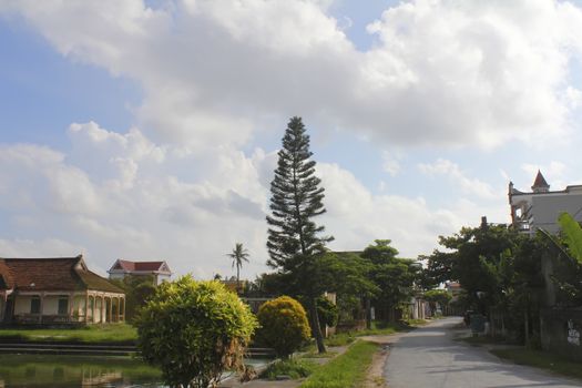 rural village of Vietnam. This is special characteristics of Vietnam