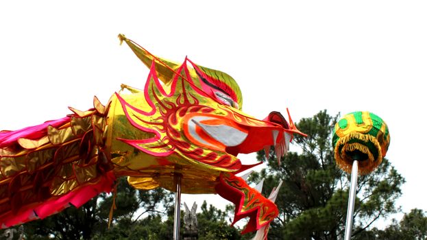 dragon in folk festivals