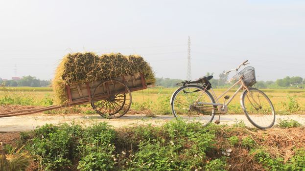 bike on the road 