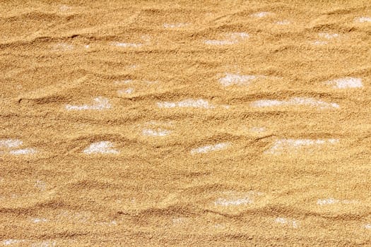 dry rice after harvesting 