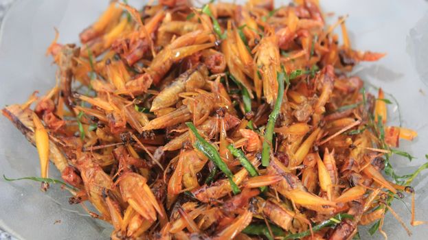 Roasted grasshoppers