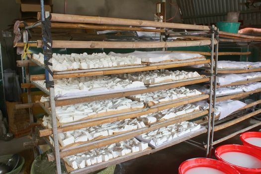 processing Kudzu flour 