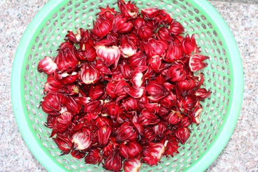 Artichoke buds, a variety of a species of thistle cultivated as a food