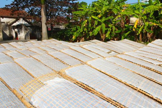 traditionally made rice paper drying in sun, Vietnam