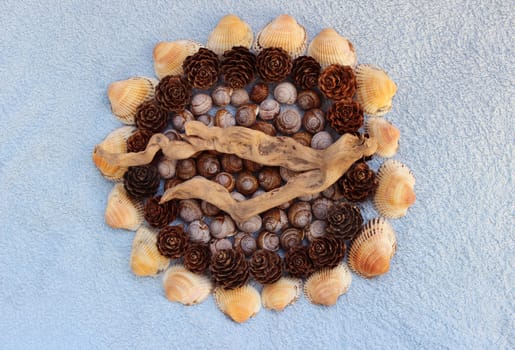 Decoration made of natural material: shells of snails found in the Gatchina park, pine cones from Karelia and seashells from Arabian Sea on a blue background