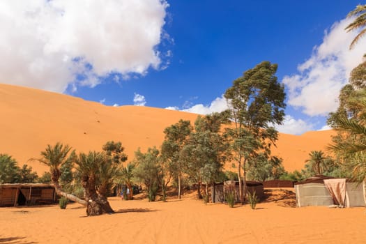 oasis in the Sahara desert on the background sand dunes, Morocco