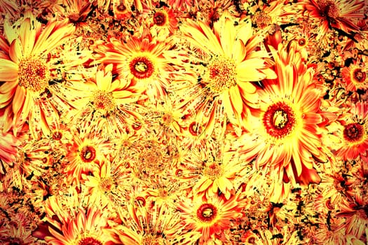 Red Yellow flowers background - Illustration