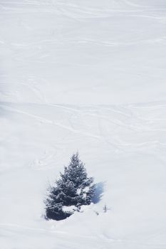 Slope with ski traces in beautiful winter mounatins