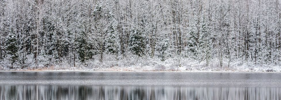 Winter forest reflections.  Mirage on a yet unfrozen lake. 
Still waters reflect winter forests.  Light snow under subdued overcast November sky.  Reflections of waterfront forest mirrored on the lake.