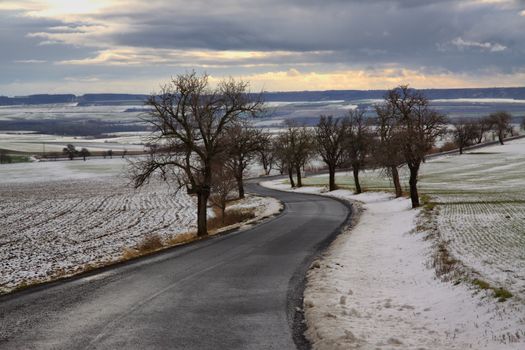 Czech Middle Mountains near Louny town and side road with the tree