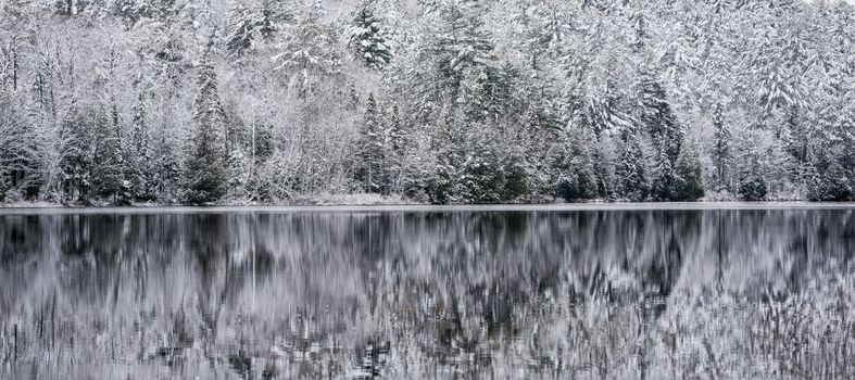 Winter forest reflections.  Mirage on a yet unfrozen lake. 
Still waters reflect winter forests.  Light snow under subdued overcast November sky.  Reflections of waterfront forest mirrored on the lake.