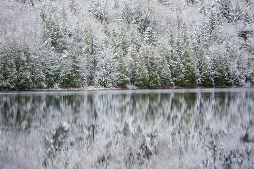 Winter forest reflections.  Mirage on a yet unfrozen lake. 
Still waters reflect winter forests.  Light snow under subdued overcast November sky.  Reflections of waterfront forest mirrored on the lake.