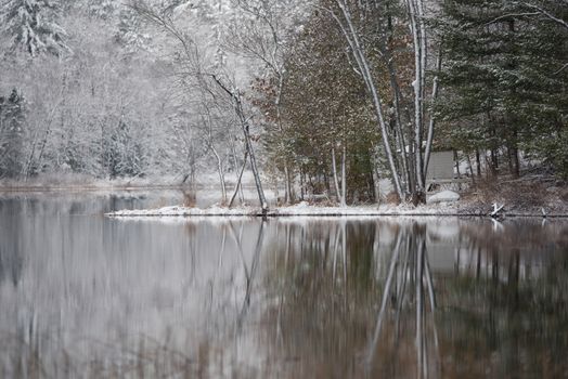 Winter forest reflections.  Mirage on a yet unfrozen lake. 
Still waters reflect winter forests.  Light snow under subdued overcast November sky.  Reflections of waterfront forest mirrored on the lake.