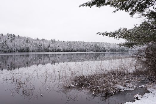 Winter forest reflections.  Mirage on a yet unfrozen lake. 
Still waters reflect winter forests.  Light snow under subdued overcast November sky.  Reflections of waterfront forest mirrored on the lake.