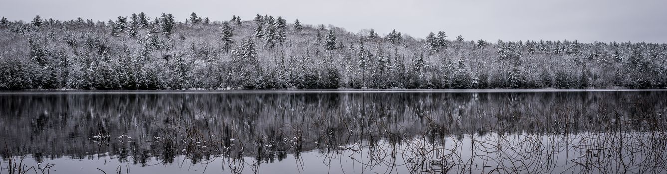 Panoramic winter forest reflections.  Mirage on a yet unfrozen lake. 
Still waters reflect winter forests.  Light snow under subdued overcast November sky.  Reflections of waterfront forest mirrored on the lake.