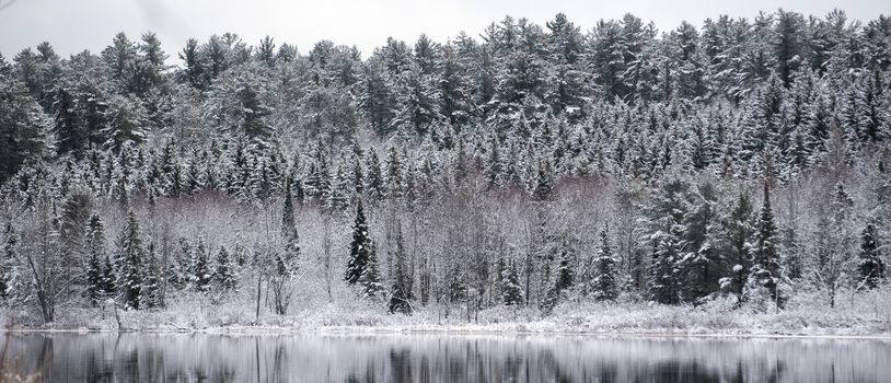 Winter forest reflections.  Mirage on a yet unfrozen lake. 
Still waters reflect winter forests.  Light snow under subdued overcast November sky.  Reflections of waterfront forest mirrored on the lake.