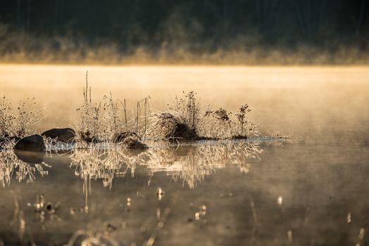 November waterfront, mist rising from warm lake water into chilled morning air.  lake with rising fog background.