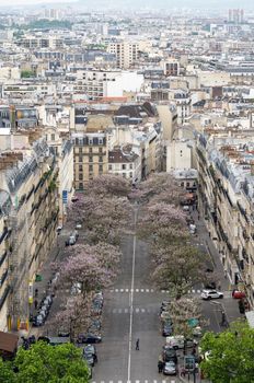 Paris, France - May 14, 2015: View of street in Paris from the Arc de Triomphe, France