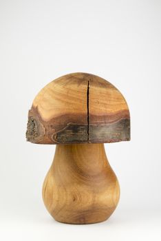 Wooden mushroom carved out trunk of a birch as decorative background
