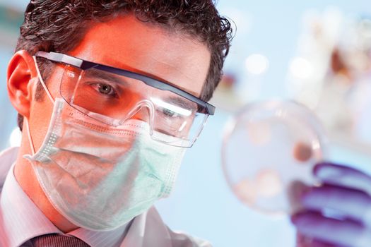 Mask protected life science professional observing the petri dish. Focus on scientist's eye.