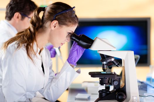 Attractive young scientist and her post doctoral supervisor looking at the microscope slide in the forensic laboratory.