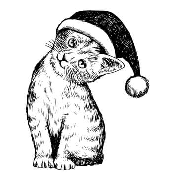 freehand sketch illustration of kitten cat with christmas hat, doodle hand drawn, christmas pet