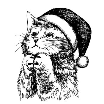 freehand sketch illustration of kitten cat with christmas hat, doodle hand drawn, christmas pet