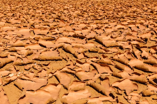 Cracked earth in  Sahara desert, morocco africa