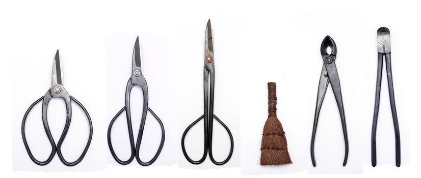 japan bonsai art tool scissors kit