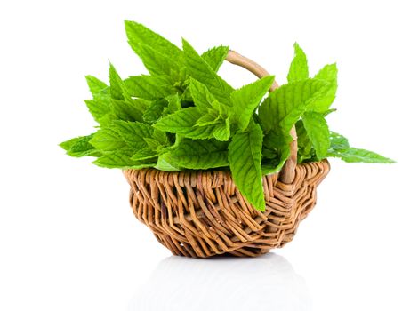 Bundle of fresh spearmint in a wicker basket, on a white background