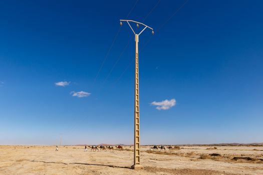 caravan of camels goes on the background of a transmission line in the Sahara desert, Morocco