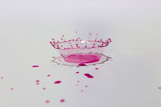 Pink water drop explosion isolated on white background