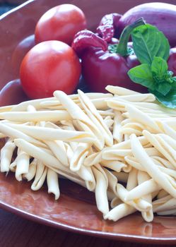 Typical Calabrian pasta called " fileja " with chilli and tomato, italy