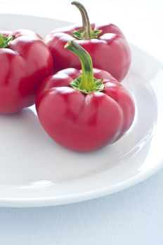 Group of fresh red peppers on white plate, italy