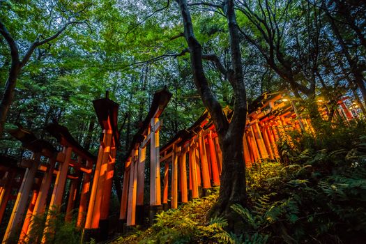 Fushimi Inari Taisha Shrine Torii Gates in Kyoto, Japan. Fushimi Inari taisha is a Shinto shrine dedicated to the spirit of Inari, and located in Fushimi-ku, Kyoto, Japan.