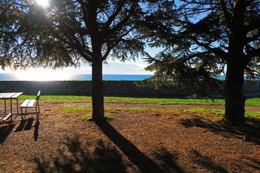 Relax among pine trees with views over the sea