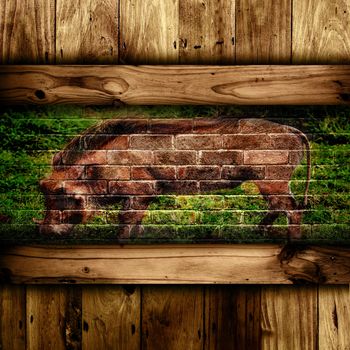 Abstract wooden and brick wall with a warthog on the brick.