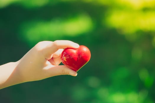 red heart in the hands, on green nature background