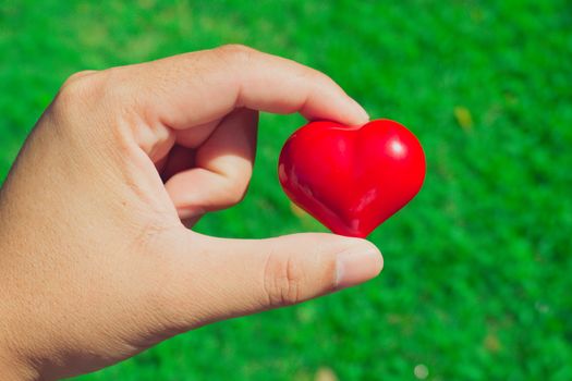 red heart in the hands, on green nature background