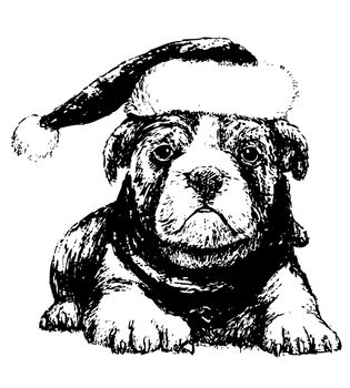 Image of black and white bulldog with hat, hand draw vector. Use for Chrismas day.