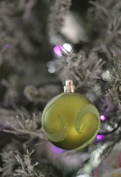 Background with snowy fur tree branch and Christmas balls.