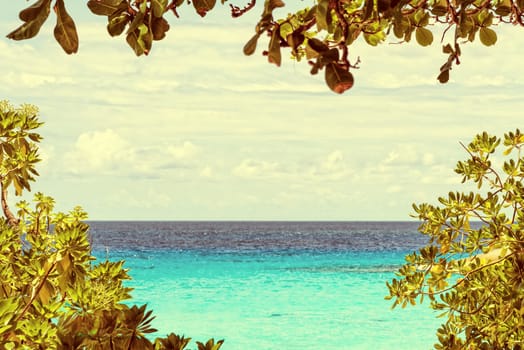 Beautiful natural landscape blue sky and sea have leaves and tree is a frame vintage style for background at Koh Miang Island during summer in Mu Ko Similan National Park, Phang Nga, Thailand