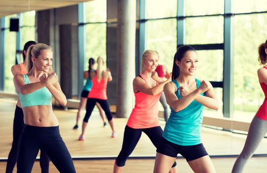 fitness, sport, training, gym and lifestyle concept - group of women working out in gym