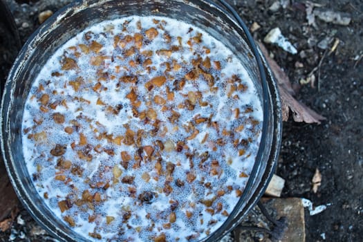 Traditional lard cooking in cold season