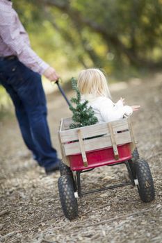 Loving Father Pulls Baby Girl in Wagon with Christmas Tree Outdoors.