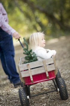 Loving Father Pulls Baby Girl in Wagon with Christmas Tree Outdoors.