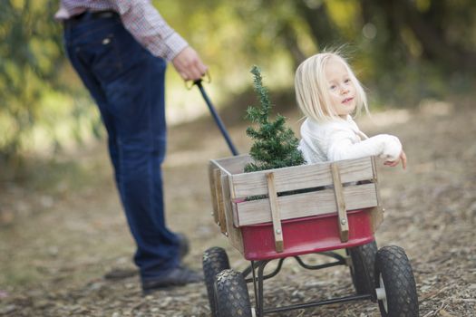 Loving Father Pulls Baby Girl in Wagon with Christmas Tree Outdoors.