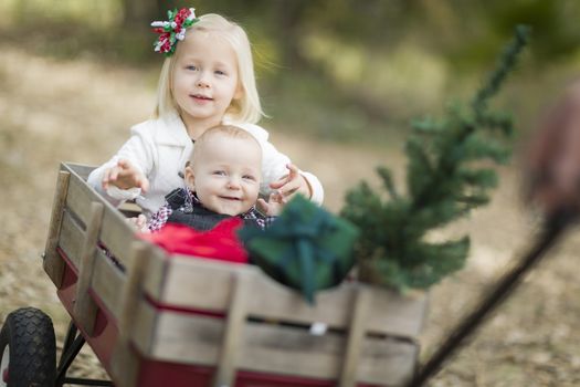 Baby Brother and Sister Being Pulled in Wagon with Christmas Tree and Gifts Outdoors.