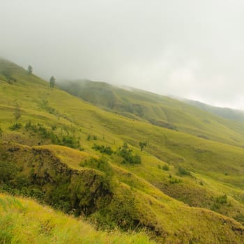 Landscape on mountain with grass and cloud