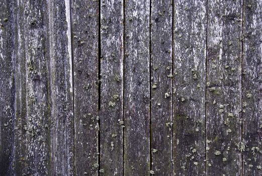 Background with old wooden planks